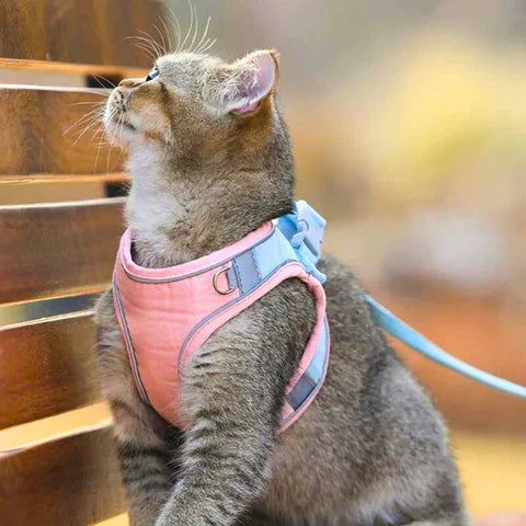 Harnais pour Chat Réfléchissant avec Laisse – Toutes Races
