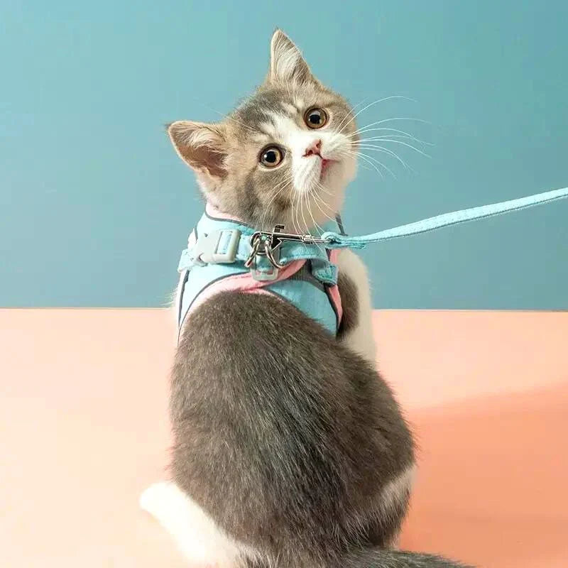 Harnais pour Chat Réfléchissant avec Laisse – Toutes Races
