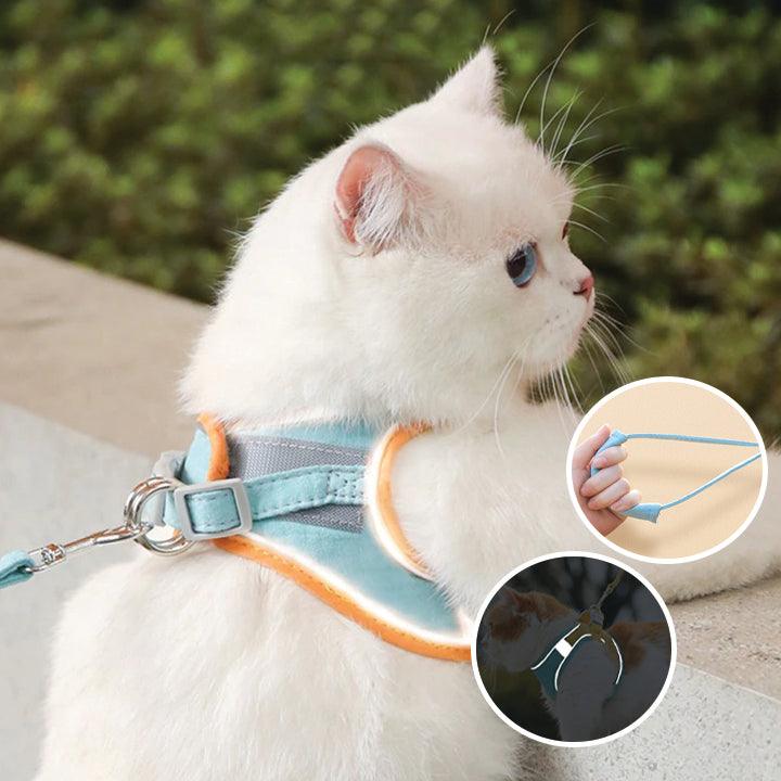 Harnais pour Chat Réfléchissant avec Laisse – Toutes Races