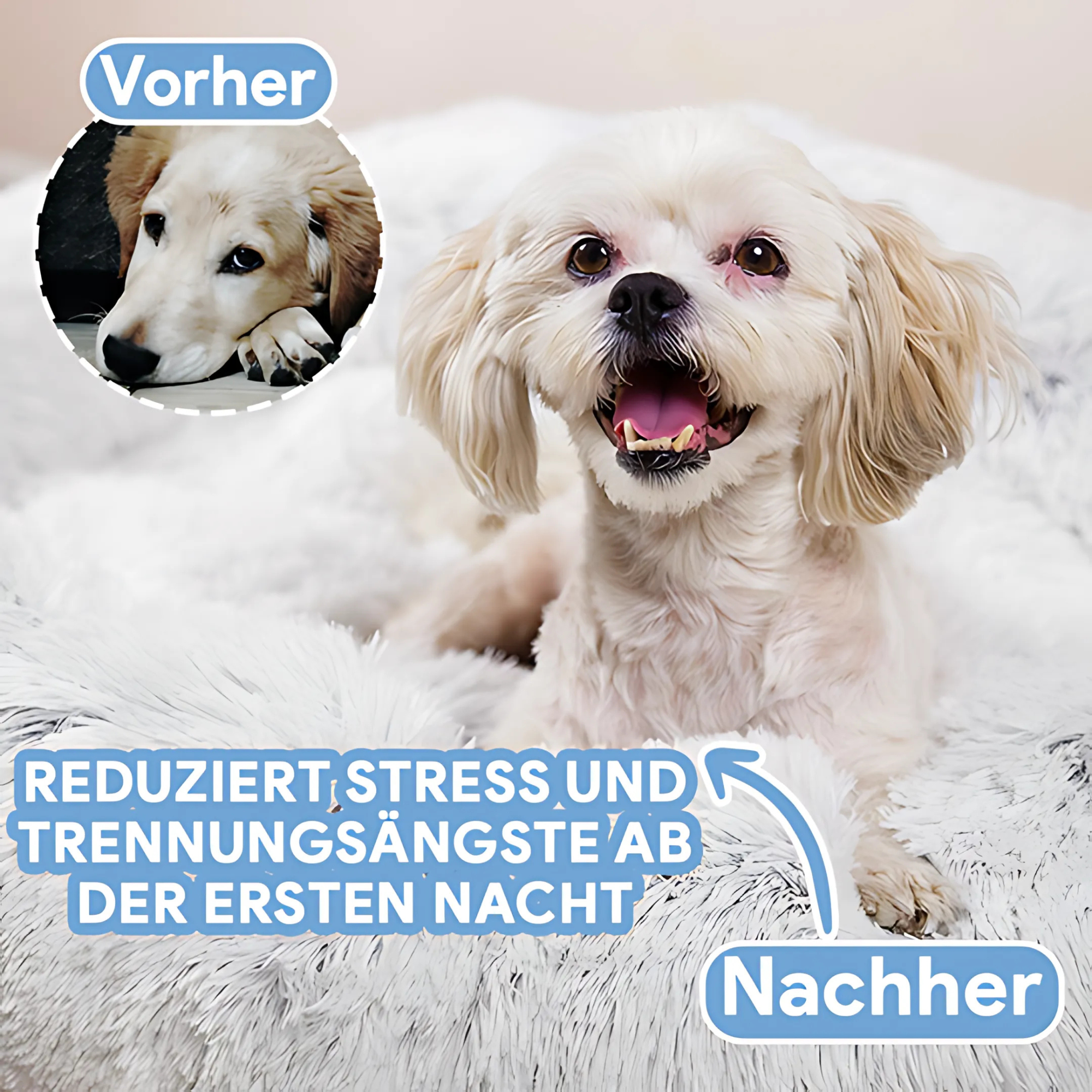 Lit Douillet pour Animaux de Compagnie en Velours Ultra-Doux