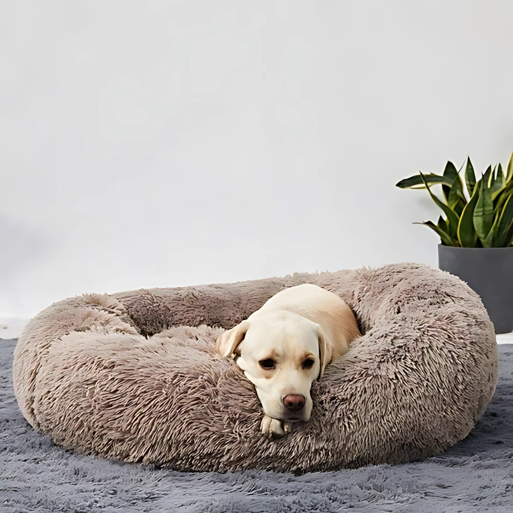 Lit Douillet pour Animaux de Compagnie en Velours Ultra-Doux