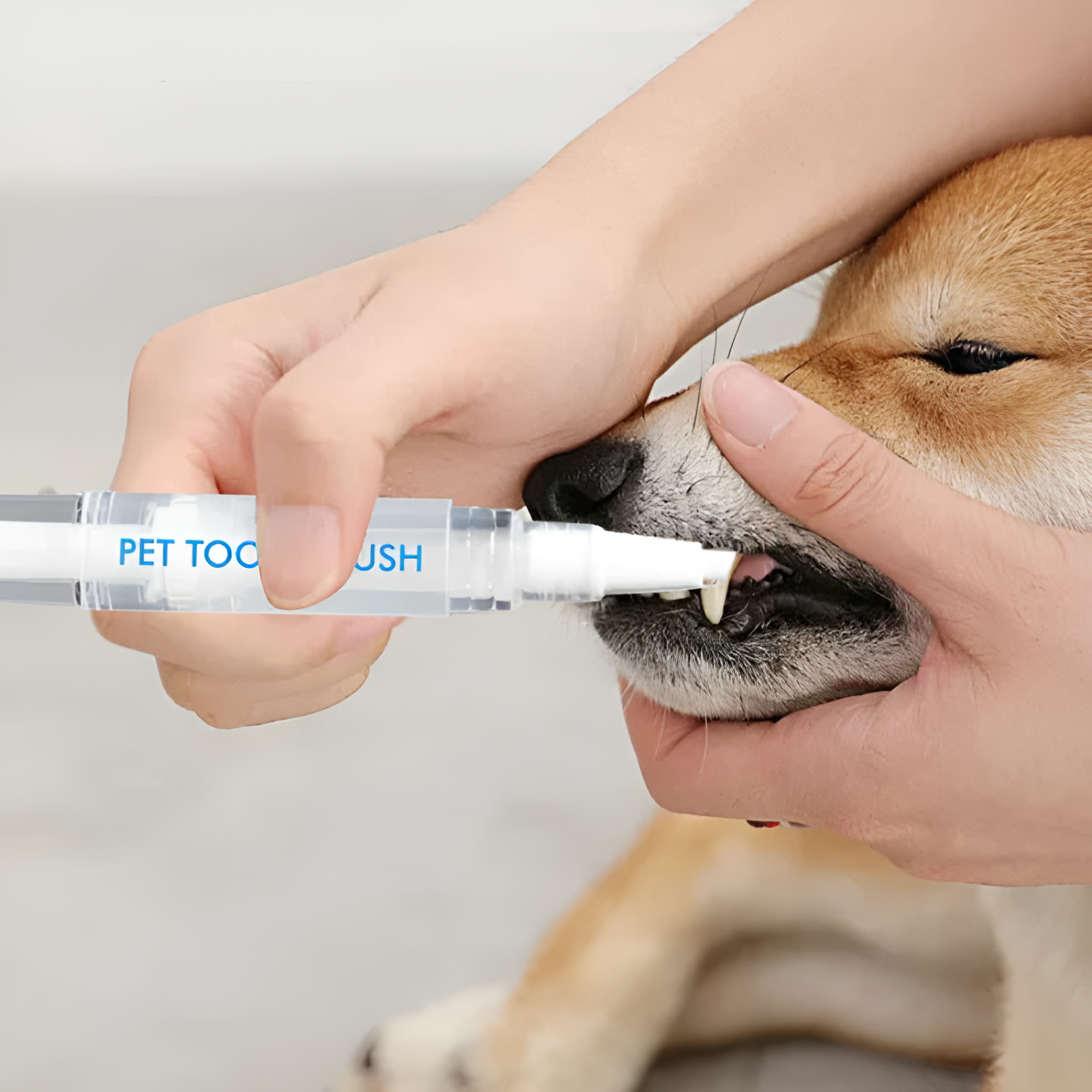 Crayon Dentaire pour Chiens et Chats - Soin Buccal Quotidien