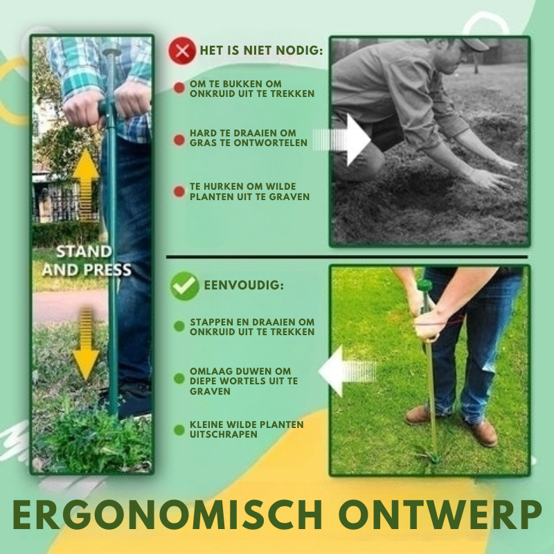 RootVanish™ – Éliminateur permanent de racines pour plantes indésirables [50 % de réduction]