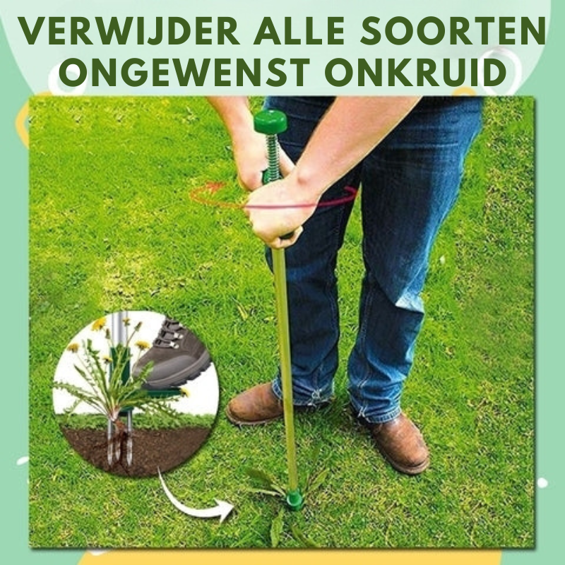 Désherbeur à Racines Debout – Outil de Jardinage à 3 Dents en Aluminium