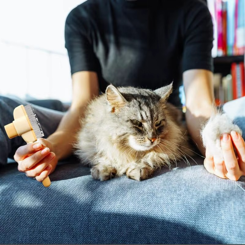 FurFix™ – Peigne pour Animaux à Un Clic pour un Soin du Pelage Sans Effort [50 % de Réduction]