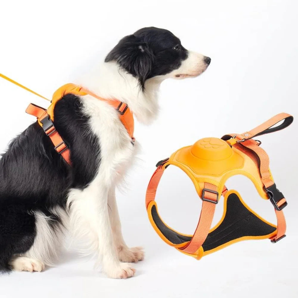 LeashLead™ – Harnais pour chien confortable et sécurisé [50 % de réduction]