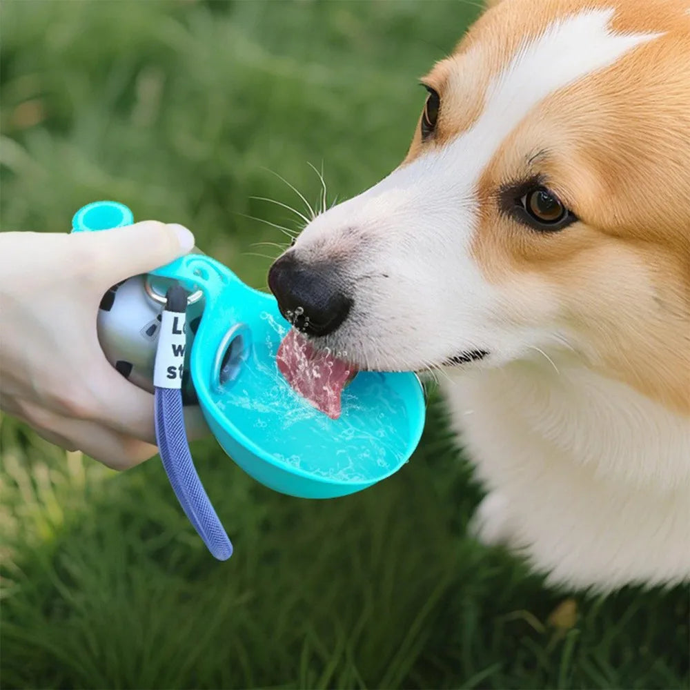 Gourde pour Chien en Acier Inoxydable 285 ml avec Bol en Silicone