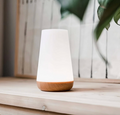 Lampe de nuit LED sans fil avec changement de couleur RGB et télécommande