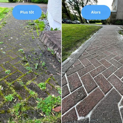 Désherbeur à Rouleau Ergonomique pour Allées et Pavés