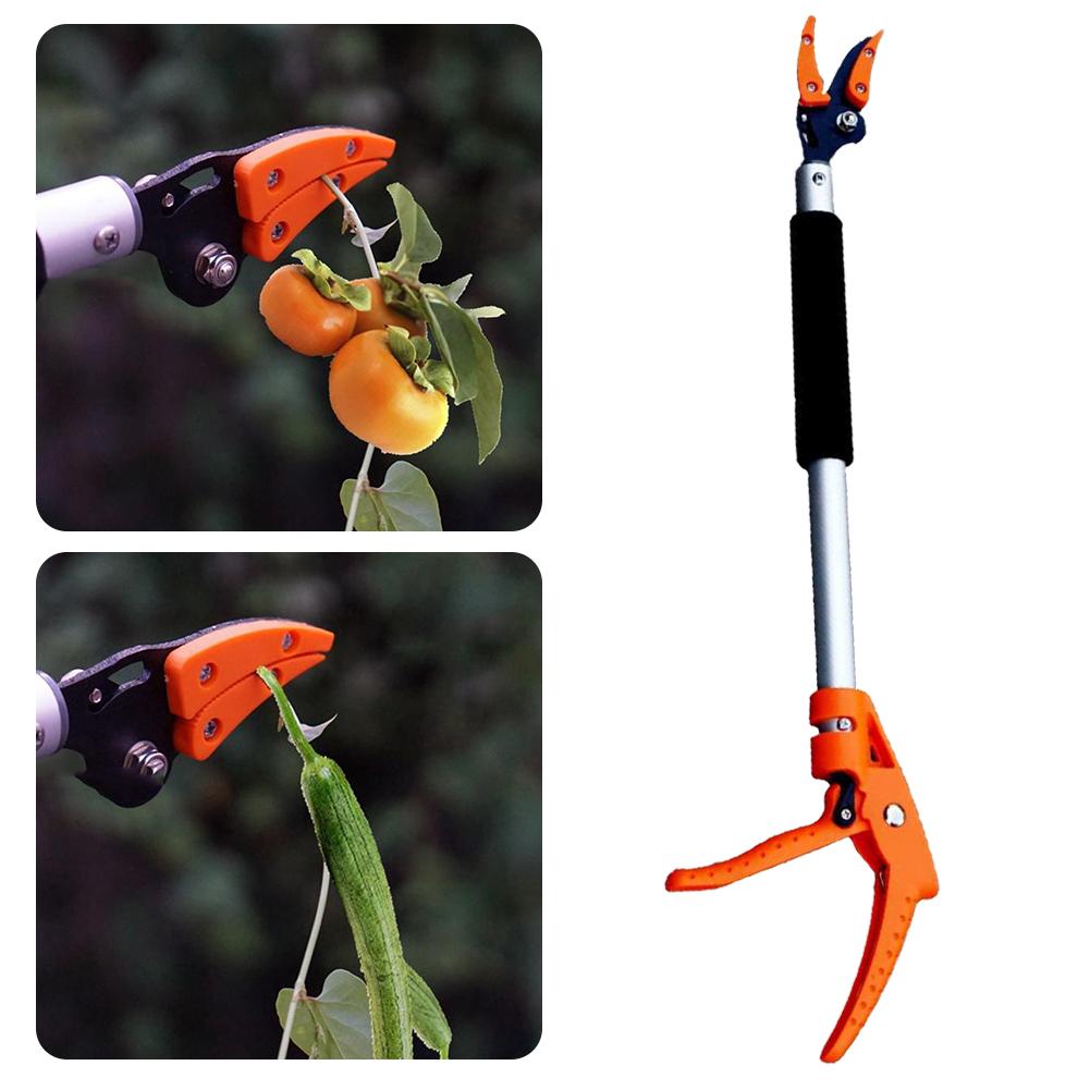 Sécateur télescopique réglable pour branches hautes – coupe sans effort