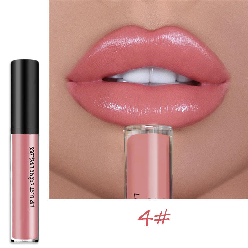 Gloss à Lèvres Longue Tenue Waterproof – Hydratant et Non Collant