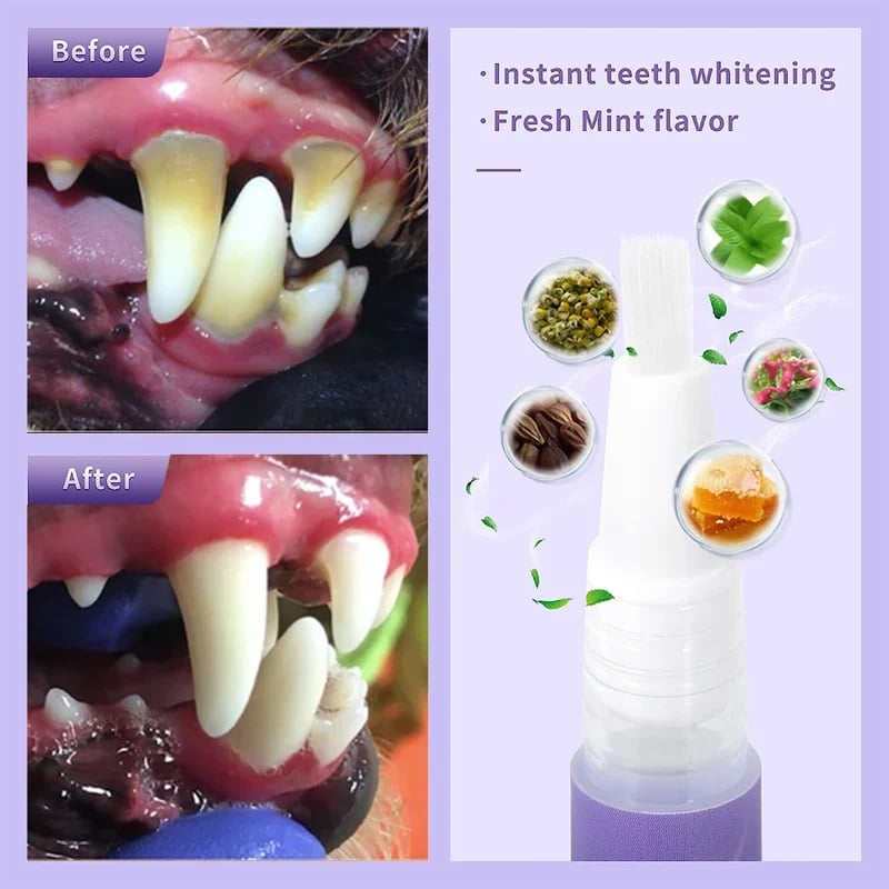 OralGlow™ – La solution ultime pour des dents saines et une haleine fraîche de votre animal [1 + 1 Gratuit]