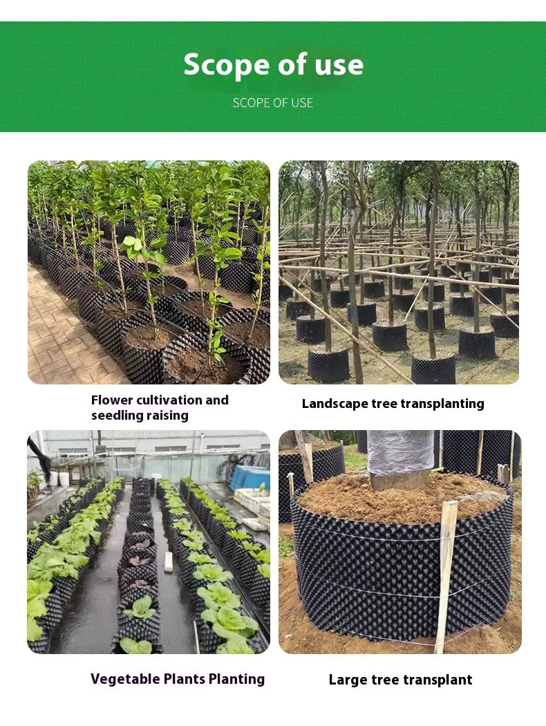 Système de Guidage des Racines pour Plantes – Croissance Forte et Saine