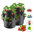 Sac de Plantation Respirant et Réutilisable pour Fraises et Légumes