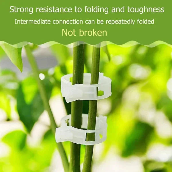 Clips de Support pour Plantes – Fixation Douce et Réutilisable