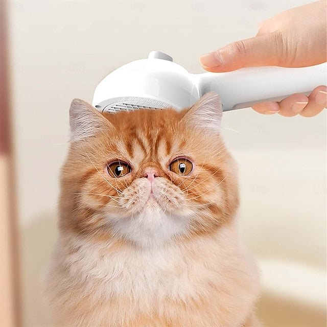 PetGlow™ – Découvrez une douceur éclatante [50 % de réduction]
