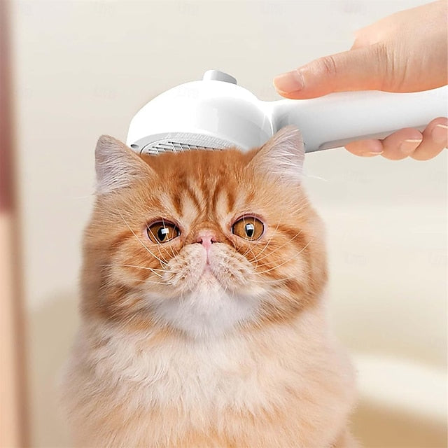 Brosse pour chien et chat avec spray brumisateur intégré
