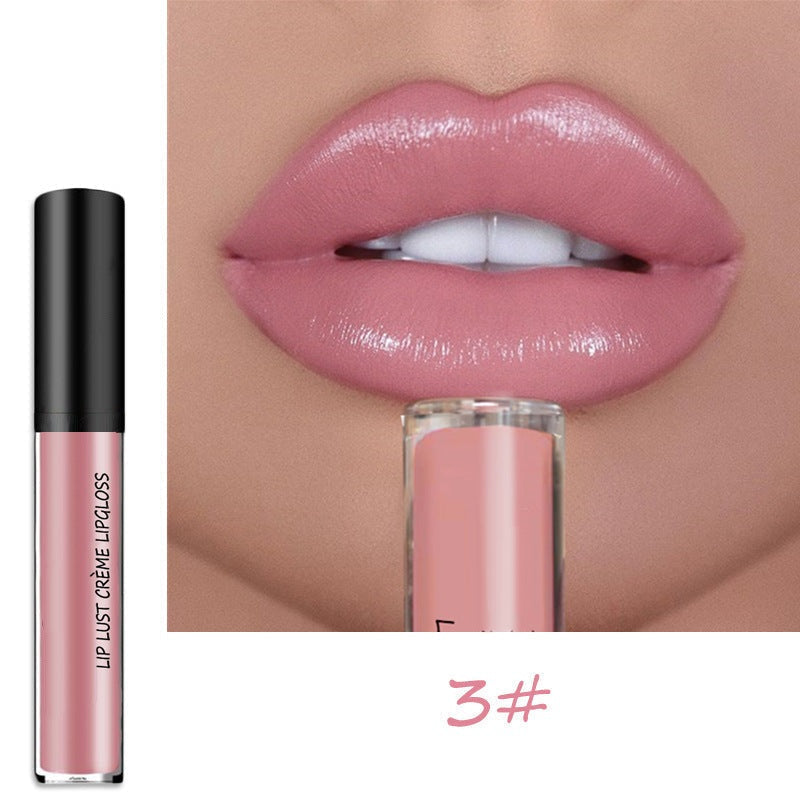 Gloss à Lèvres Longue Tenue Waterproof – Hydratant et Non Collant