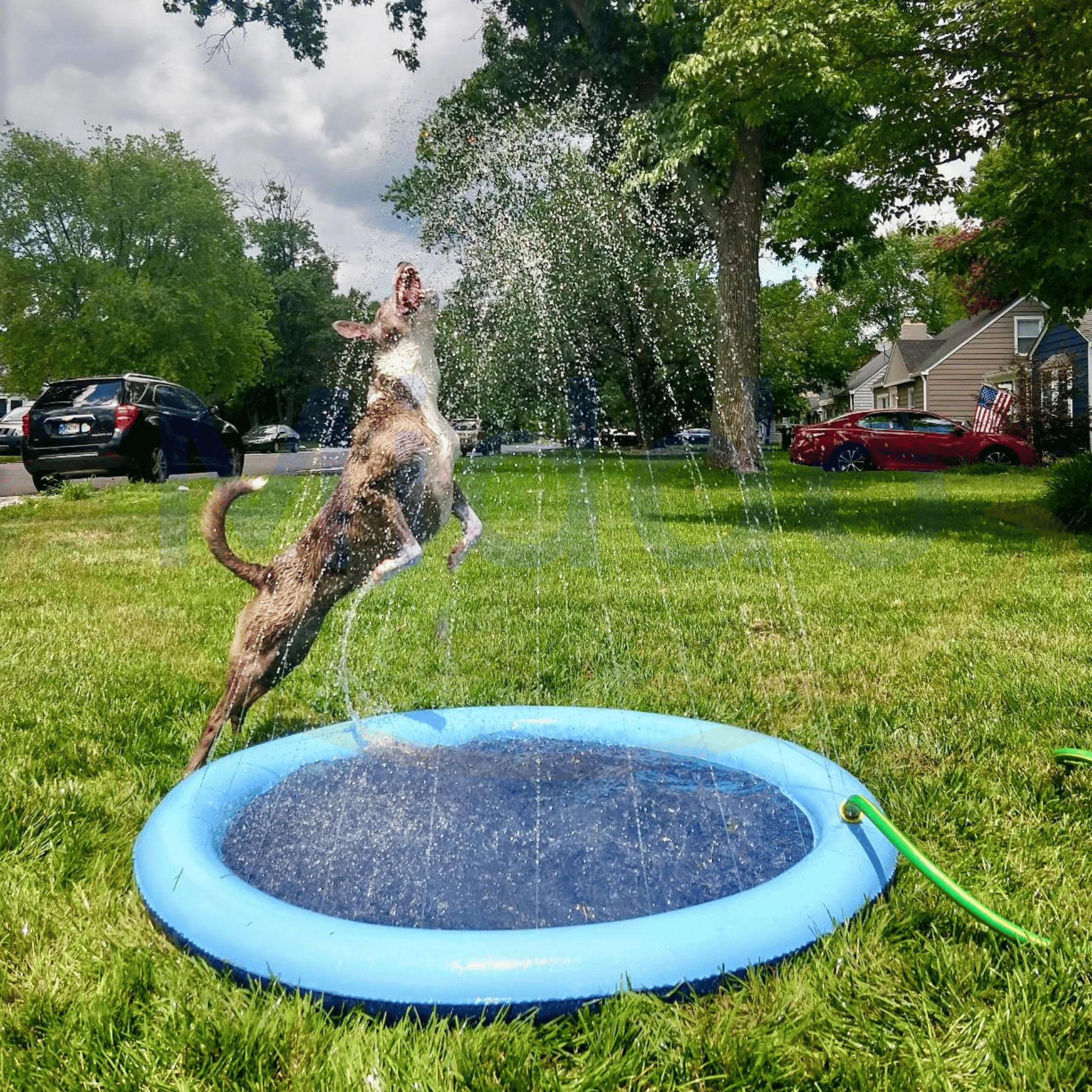 Tapis de Jeu Aquatique pour Enfants et Animaux – Jardin et Extérieur