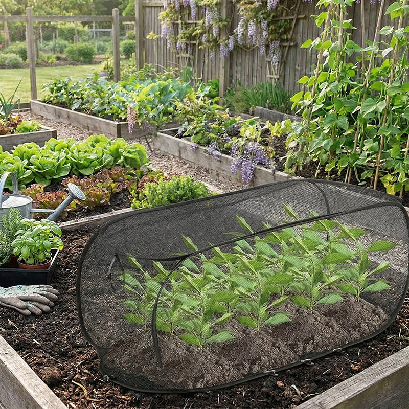 Filet de protection pour plantes pop-up anti-nuisibles avec ancrage au sol