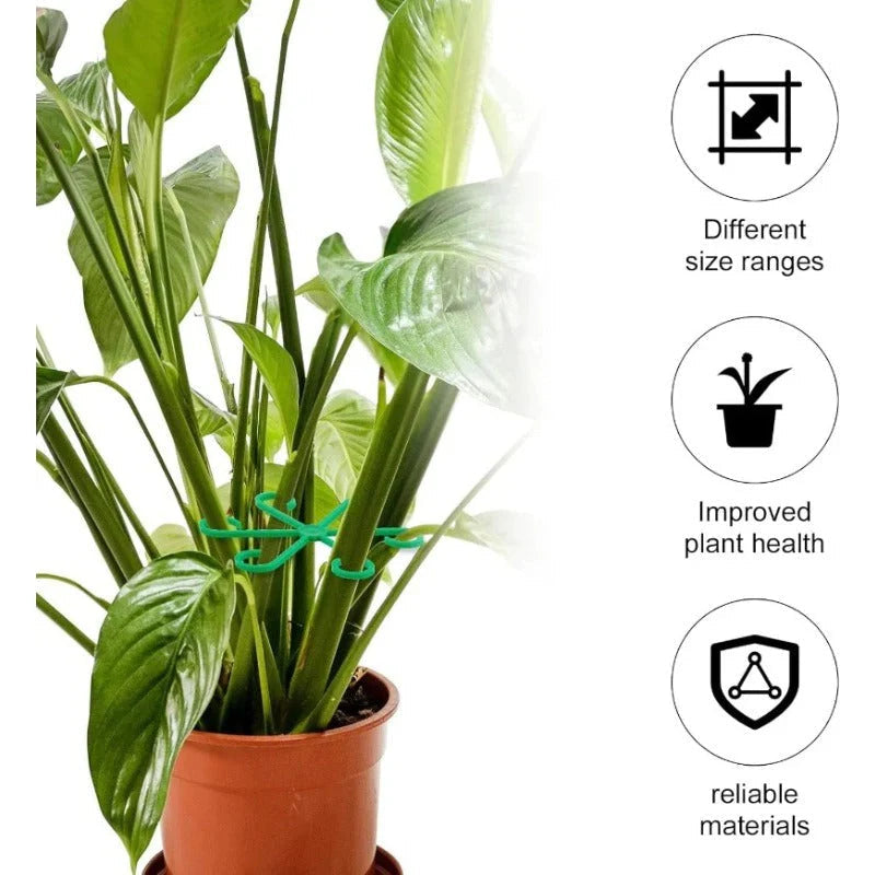 Supports de plantes à clipser – 4 tailles pour tiges et vrilles