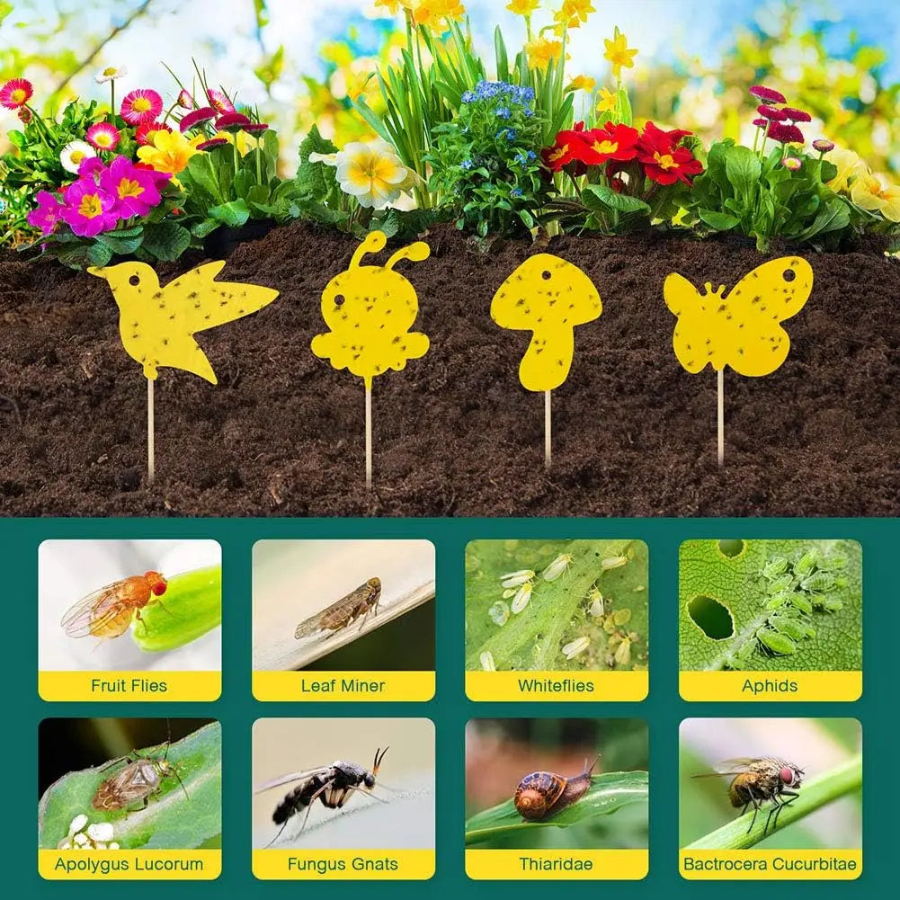 Pièges adhésifs décoratifs pour plantes – Non toxiques et sans produits