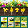 Pièges adhésifs décoratifs pour plantes – Sans produits chimiques [Lot de 40]