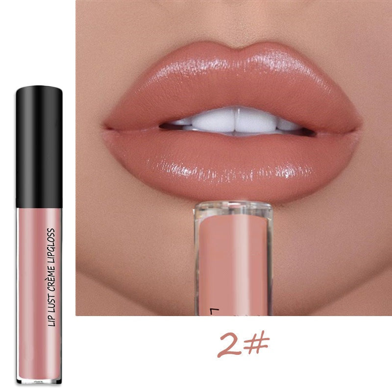 Gloss à Lèvres Longue Tenue Waterproof – Hydratant et Non Collant