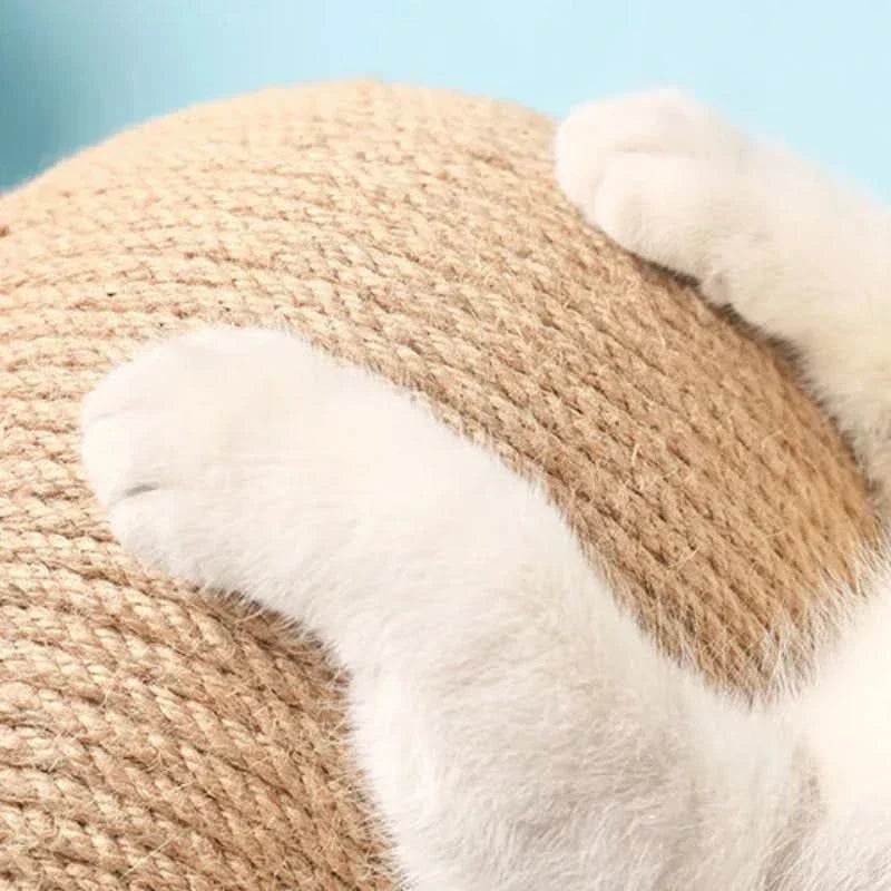 Jouet Griffoir Balle pour Chat 2-en-1 avec Surface de Griffage Intégrée