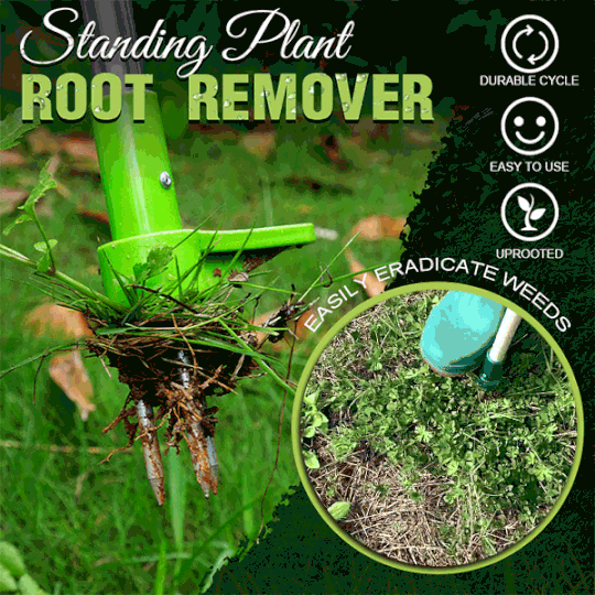 RootVanish™ – Éliminateur permanent de racines pour plantes indésirables [50 % de réduction]