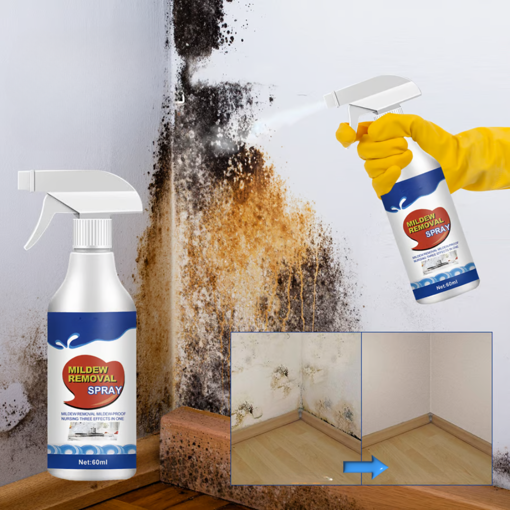 Spray Anti-Moisissures Action Rapide pour Murs, Joints et Surfaces