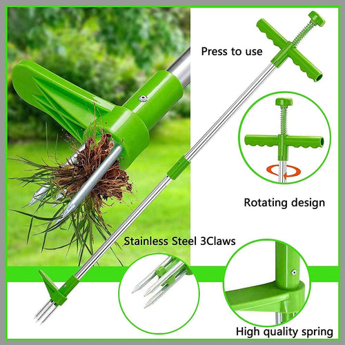 Désherbeur à Racines Debout – Trident pour Pelouse et Jardin
