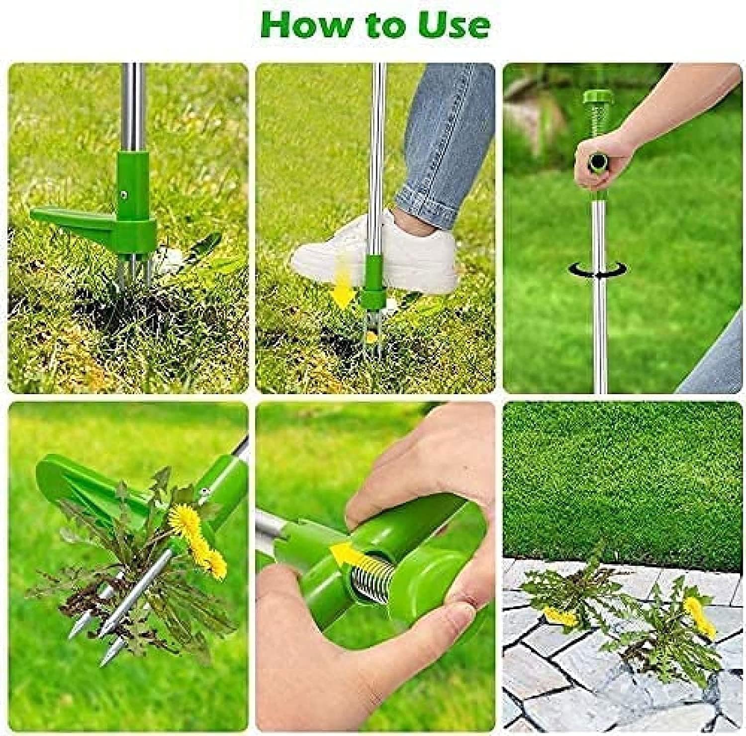 Désherbeur à Racines Debout – Trident pour Pelouse et Jardin