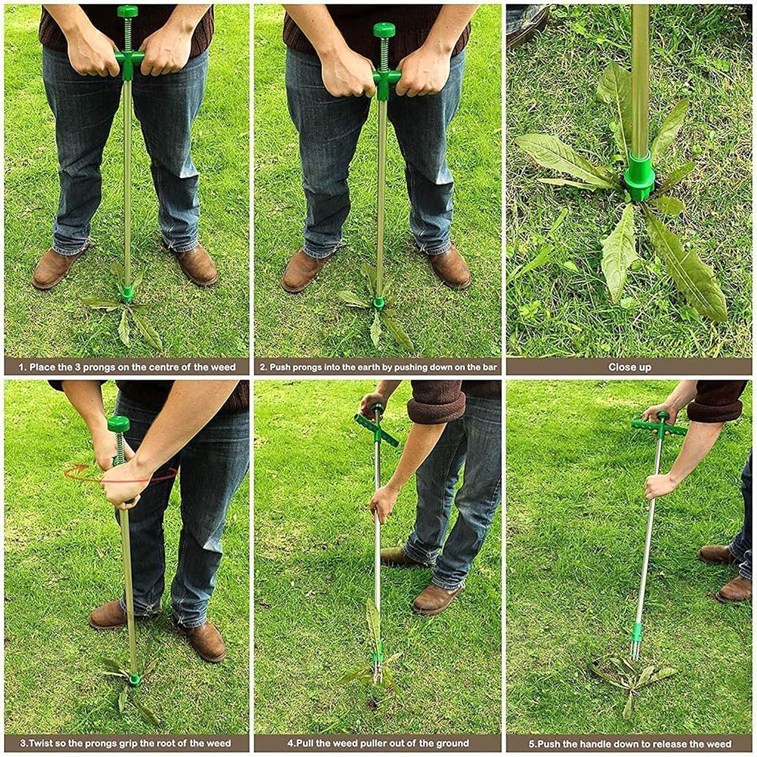 Désherbeur à Racines Debout – Trident pour Pelouse et Jardin