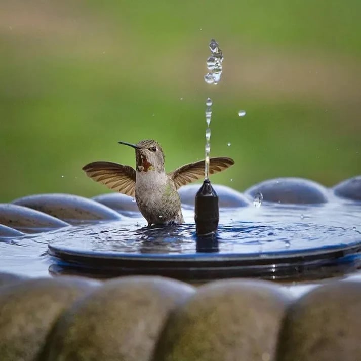 Fontaine à Oiseaux Solaire pour Jardin, Balcon et Étang