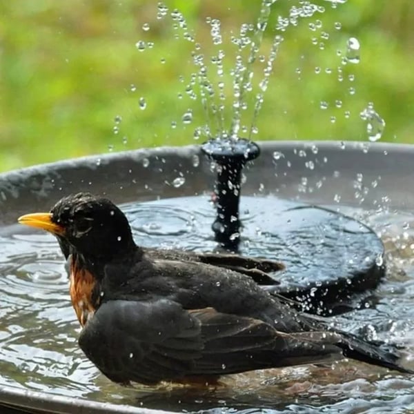 Fontaine à Oiseaux Solaire pour Jardin, Balcon et Étang