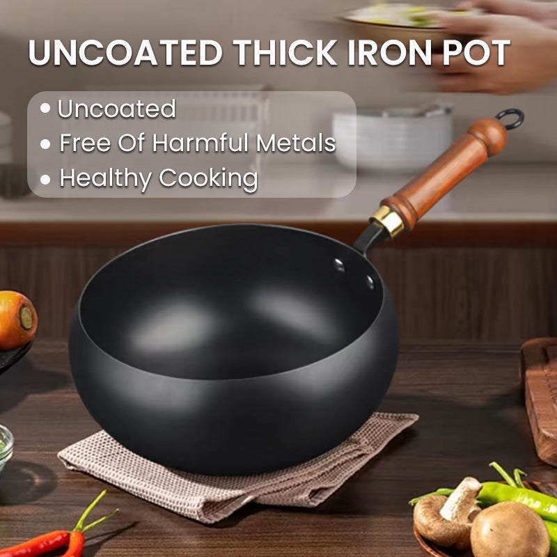 Cocotte en Fonte Massive 24 cm – Tous Feux dont Induction et Four