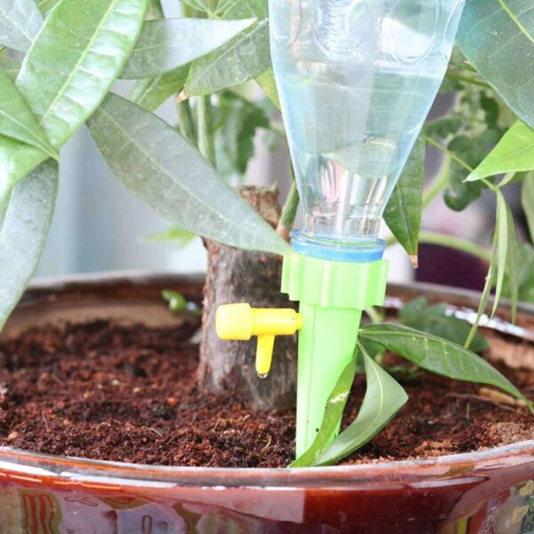 Pierre d'arrosage automatique pour plantes en pot et plantes d'intérieur